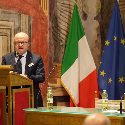 Mario Antonelli FIT (2)